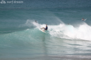 surf fuerteventura