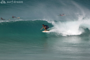 surf fuerteventura