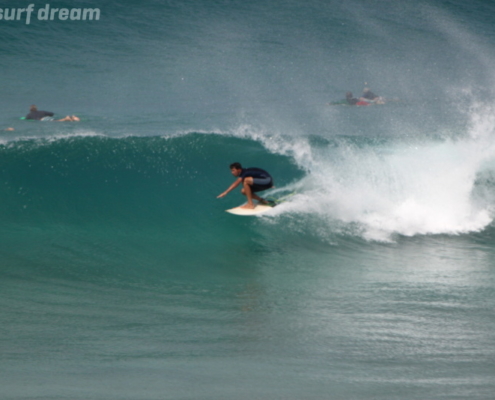 surf fuerteventura