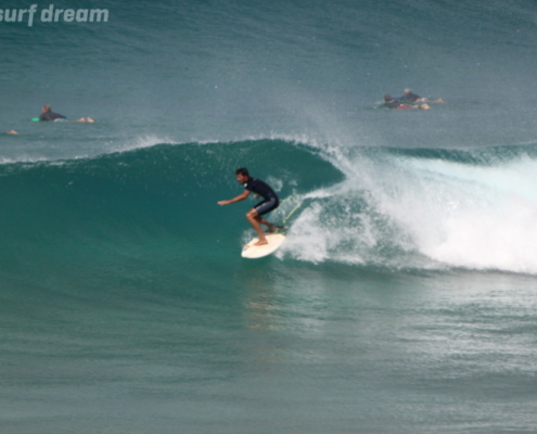 surf fuerteventura