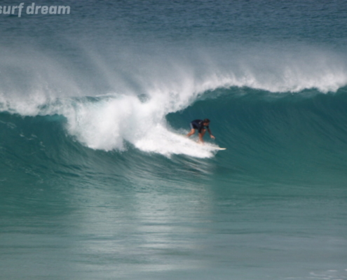 surf fuerteventura