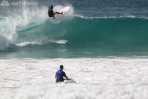 surf fuerteventura