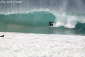 surf fuerteventura