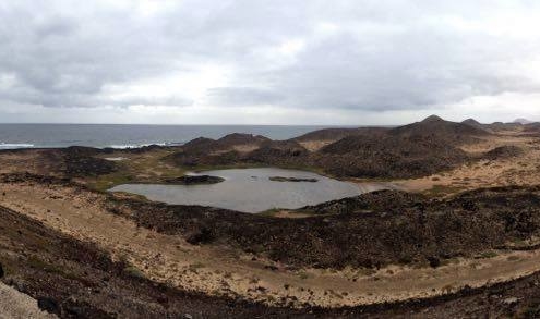 fuerteventura-lobos