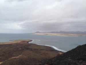 fuerteventura-lobos