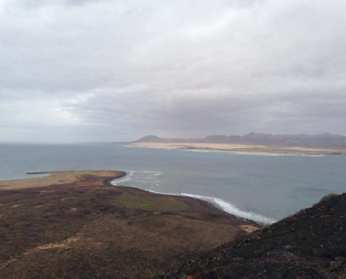 fuerteventura-lobos