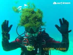fuerteventura holidays