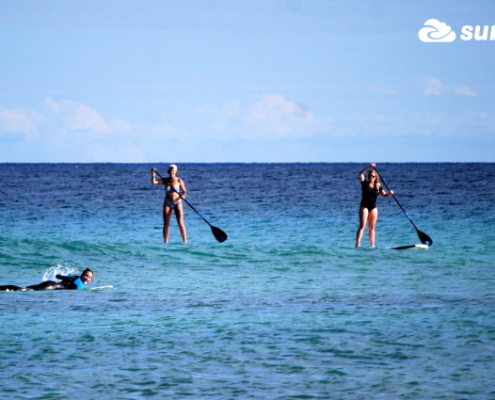 paddleboard fuerteventura