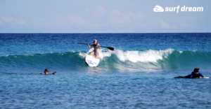 paddleboard fuerteventura