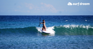 paddleboard fuerteventura