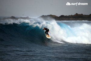 surf fuerteventura