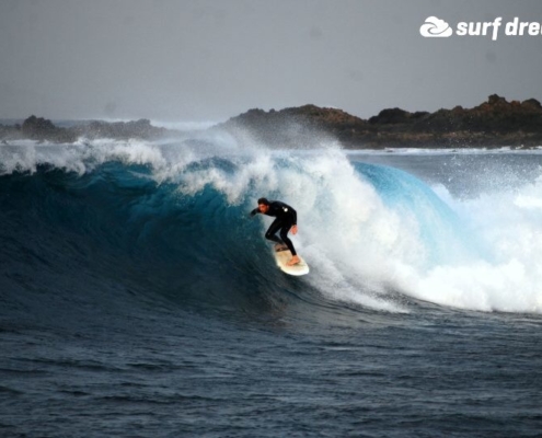 surf fuerteventura