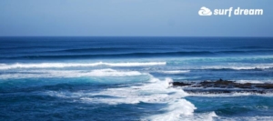 surf fuerteventura