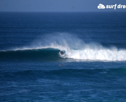 surf fuerteventura