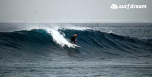 surf fuerteventura