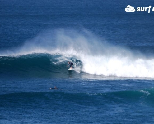 surf fuerteventura