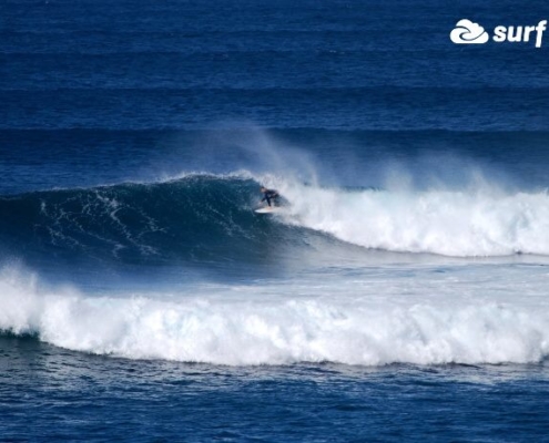 surf fuerteventura