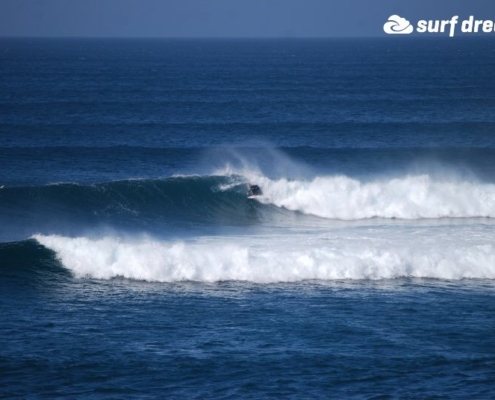 surf fuerteventura