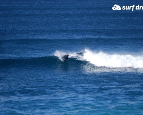 surf fuerteventura