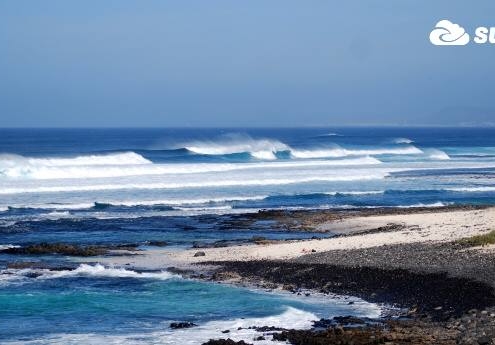 surf fuerteventura