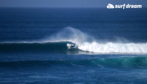 surf fuerteventura