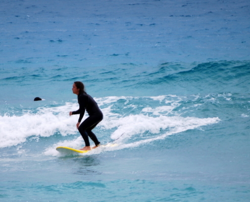 surf school fuerteventura