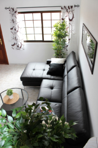 accomodation tenerife