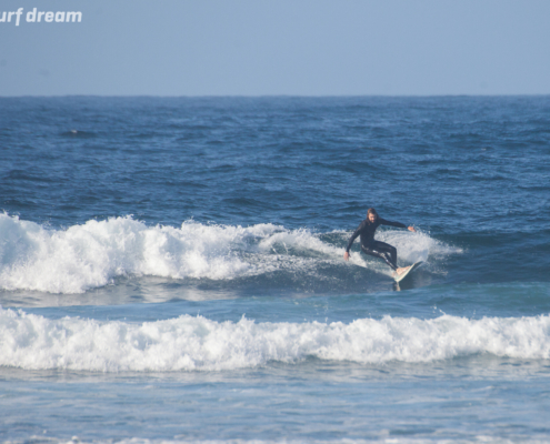 surf fuerteventura