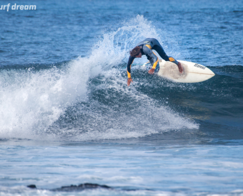 surf fuerteventura