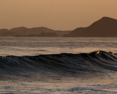 surf fuerteventura