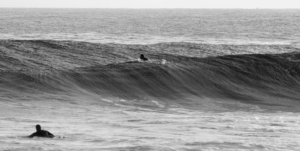surf fuerteventura