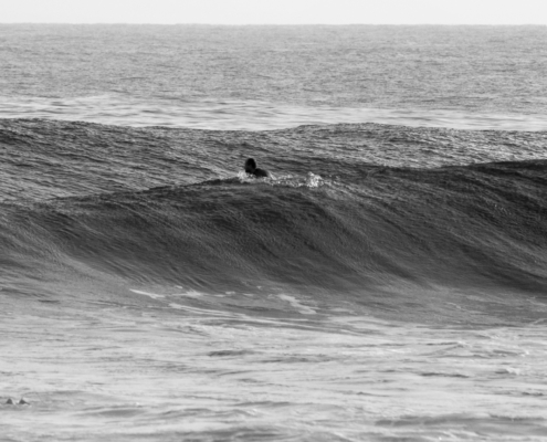 surf fuerteventura