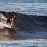 surf fuerteventura