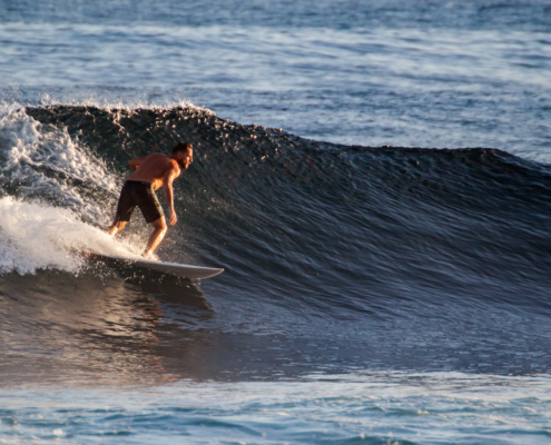 surf fuerteventura