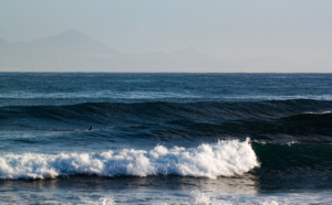 surf fuerteventura