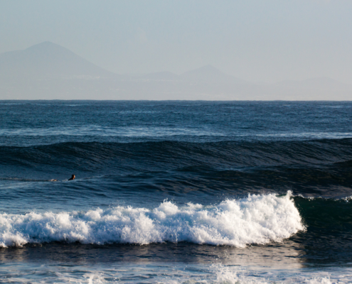 surf fuerteventura