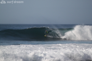 surf fuerteventura