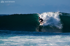 surf fuerteventura