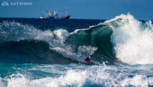 surf fuerteventura