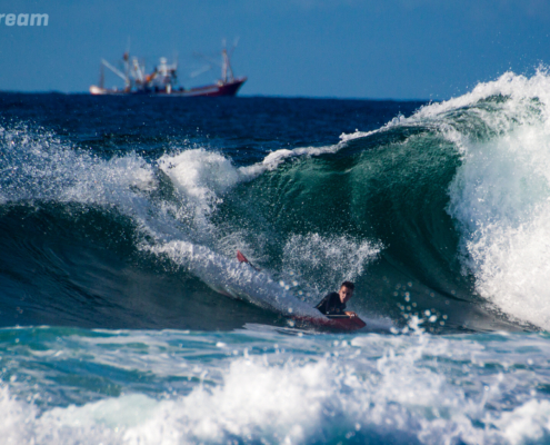 surf fuerteventura