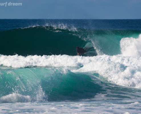 surf fuerteventura