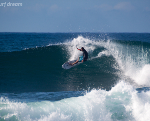 surf fuerteventura