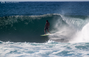 surf fuerteventura