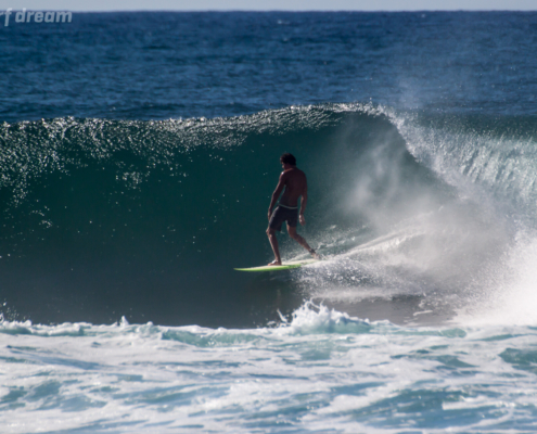 surf fuerteventura