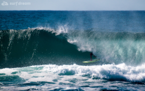 surf fuerteventura