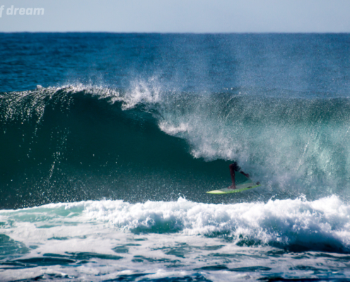 surf fuerteventura