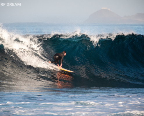 surfing fuerteventura