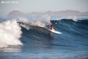 surfing fuerteventura