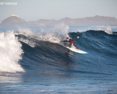 surfing fuerteventura