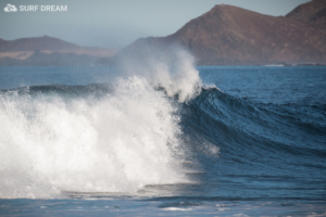 surfing fuerteventura